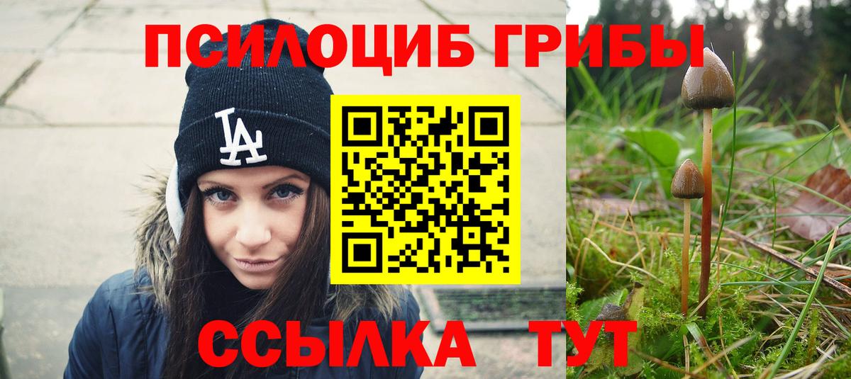 где купить   Вход с VPN  Муром  Галлюциногенные грибы GOLDEN TEACHER 