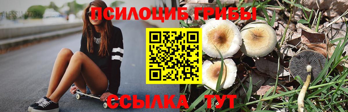 Галлюциногенные грибы мицелий Муром